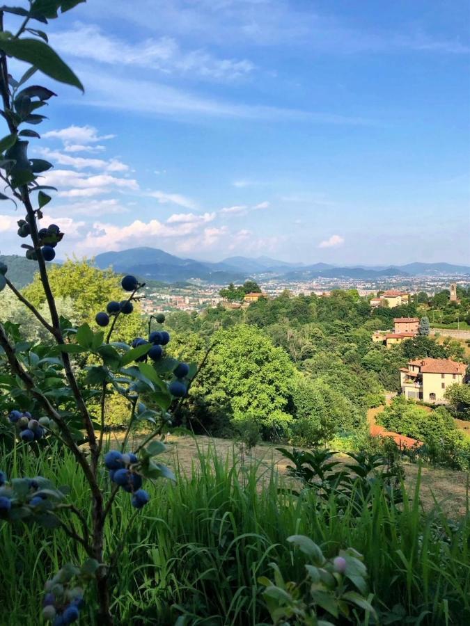 Foresteria Antica Bastia B&B Bergamo Dış mekan fotoğraf