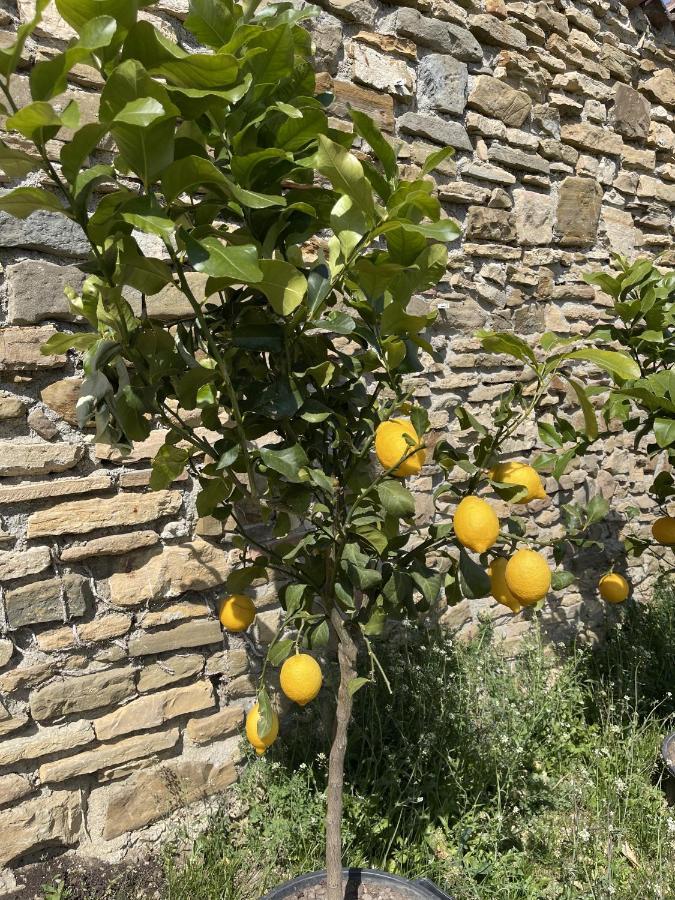 Foresteria Antica Bastia B&B Bergamo Dış mekan fotoğraf